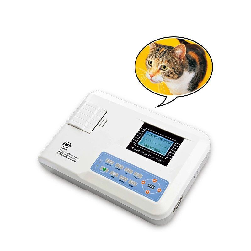 ECG100G-VET veterinary ecg machine