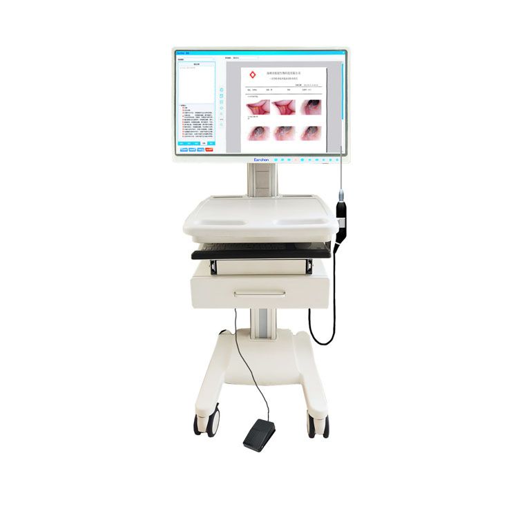 LED video endoscope disposable medical endoscope examination system 51